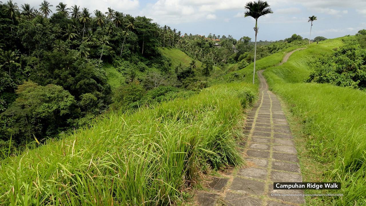 Zen Premium Nyuh Bojog Ubud Екстер'єр фото